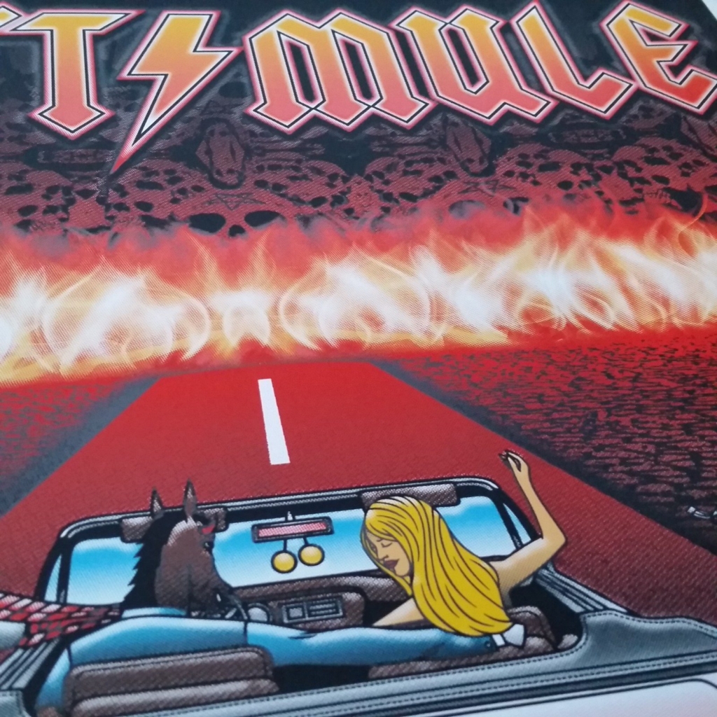 Govt Mule 2014 New Years Eve NYC poster - Image 2